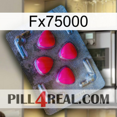 Fx75000 13